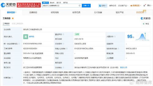 湖北丹江大數據公司成立，5億注冊資本瞄準數據處理服務新藍海