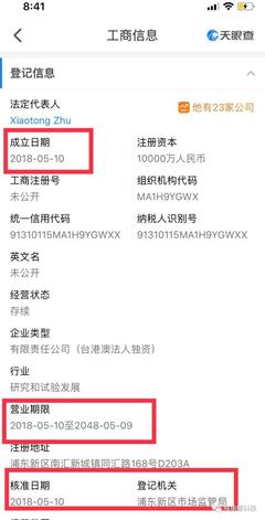 特斯拉上海建廠背后的戰略與資本運作 虧損之下，超級工廠如何拔地而起？
